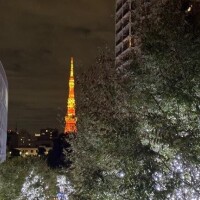 寒くなってきたね…??