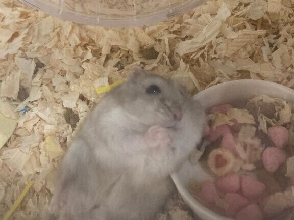 5日目??
