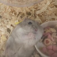 5日目??