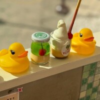 次回枠18:00～