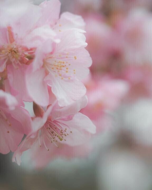 4月