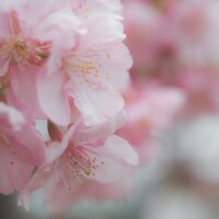 4月