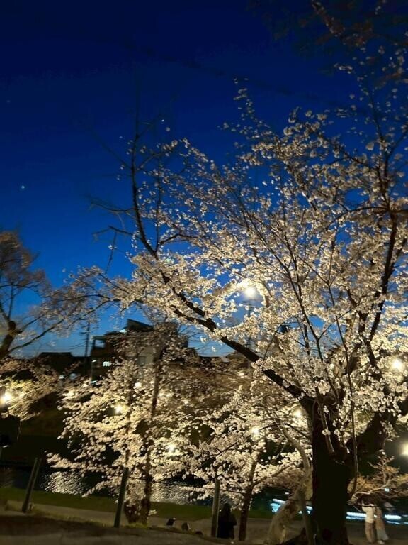 予定は未定