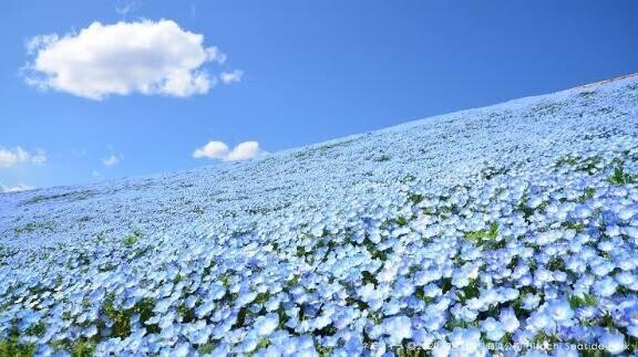 えーー知らなかった???