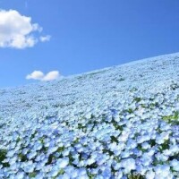 うな