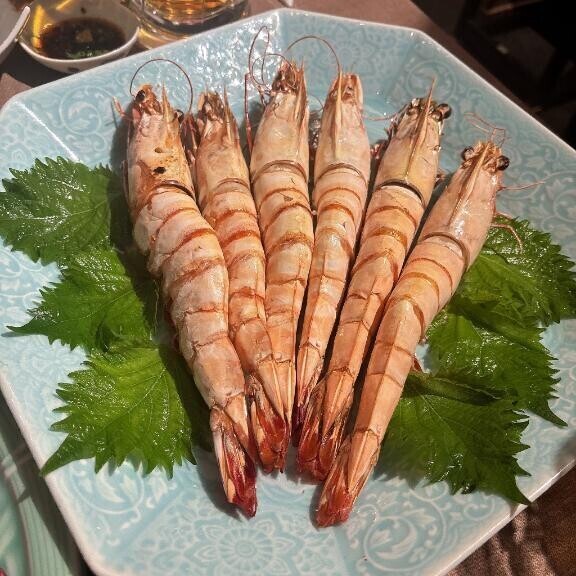 5/11(日) 10:00～いるよ！