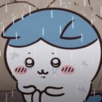もこ
