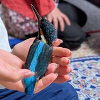 小さな幸せ???