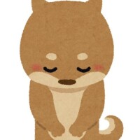 ここあ