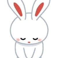 ごめんなさい泣