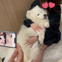 えり
