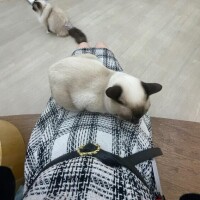 ご予約ありがとうございます??