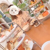 今日はおやすみです?