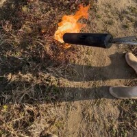 今日おとー休みだってー