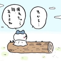 やめてください。