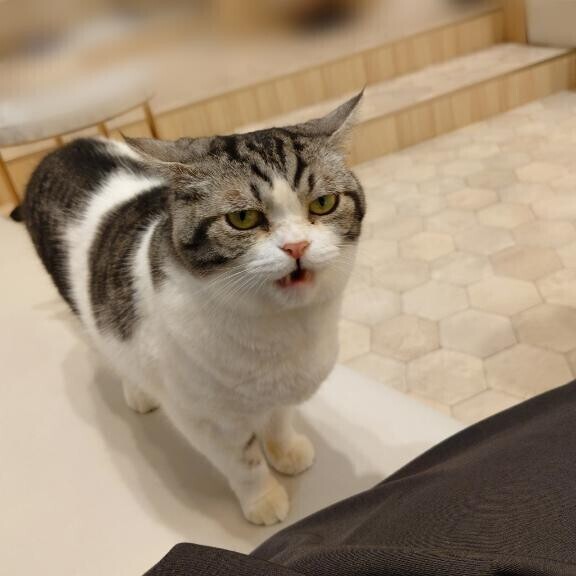 くりそつである。