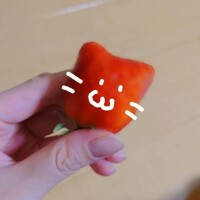 発見！（=*0ω0=*）