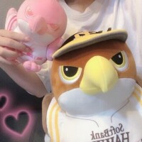 全新！