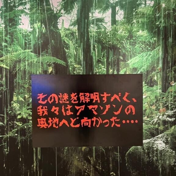 〇岡探検隊