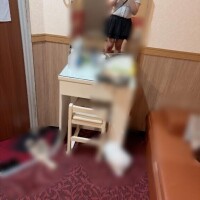 今日も?