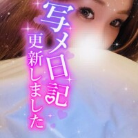 夜の猫ちゃん