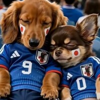 まおみ