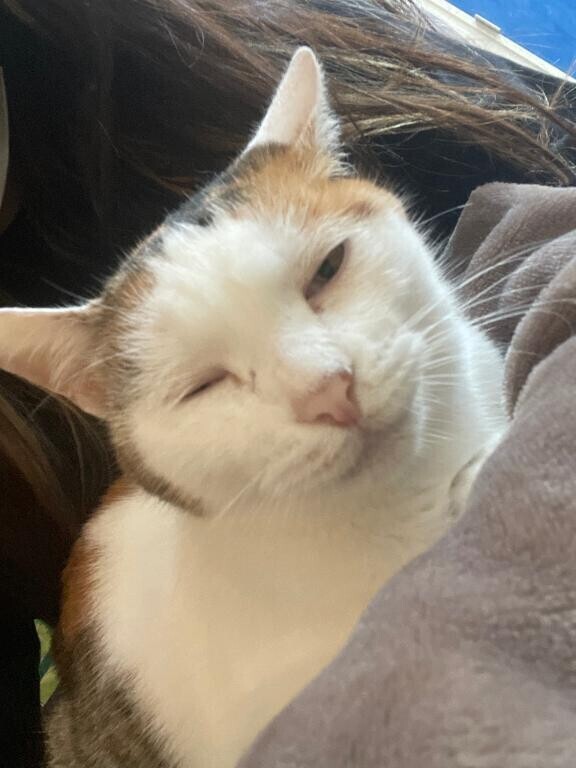 ありがとう