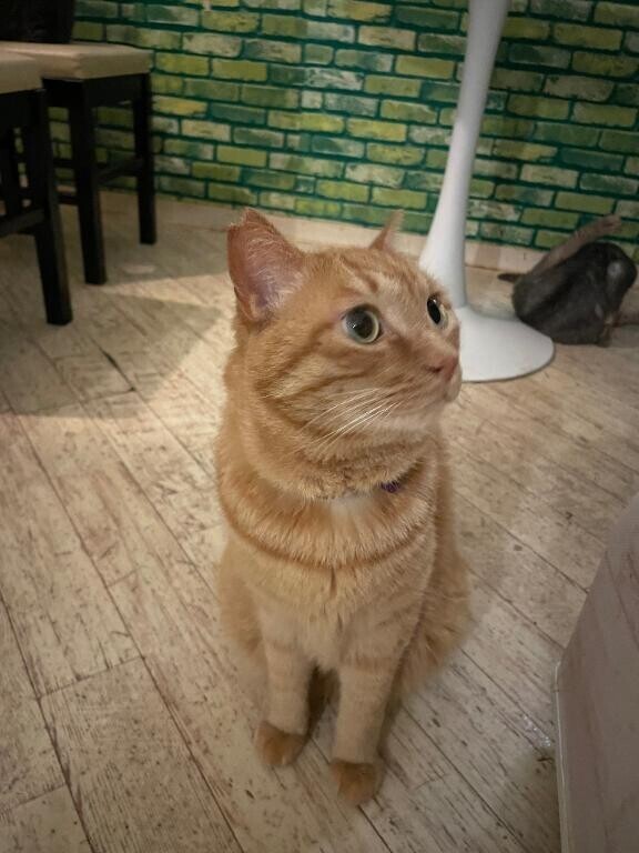 13:00から♡♡