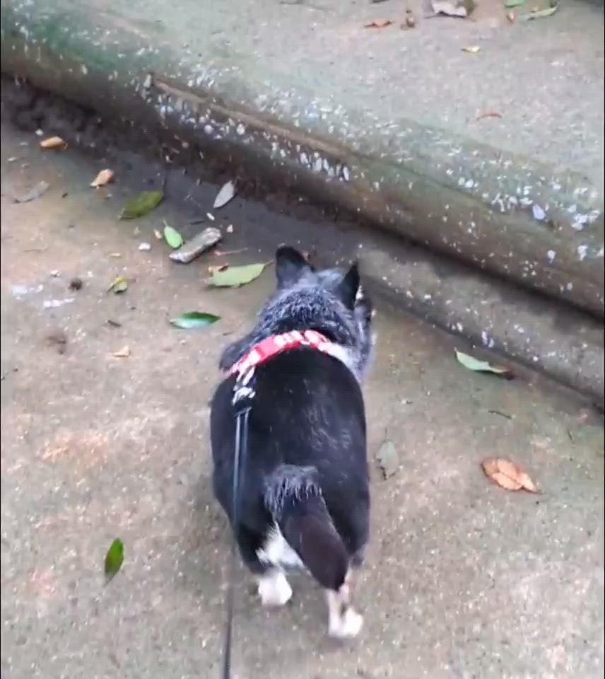 ごめんなさいm(_ _;)m
