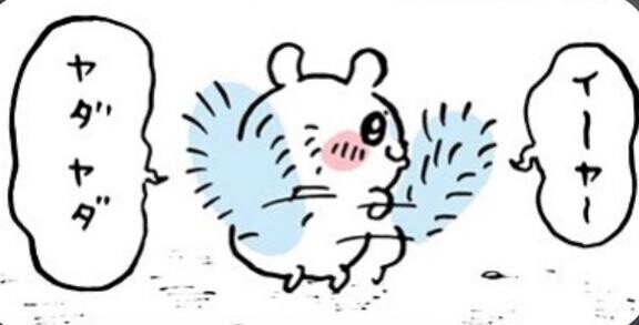 律儀な女性…🩷