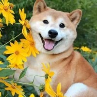 つかさ