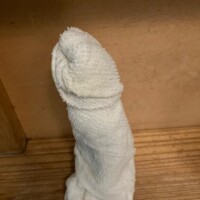 しのぶ