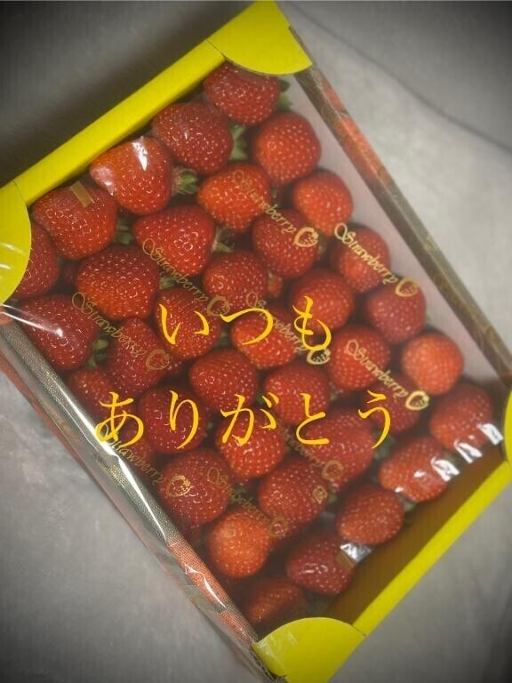 ご馳走様でした?