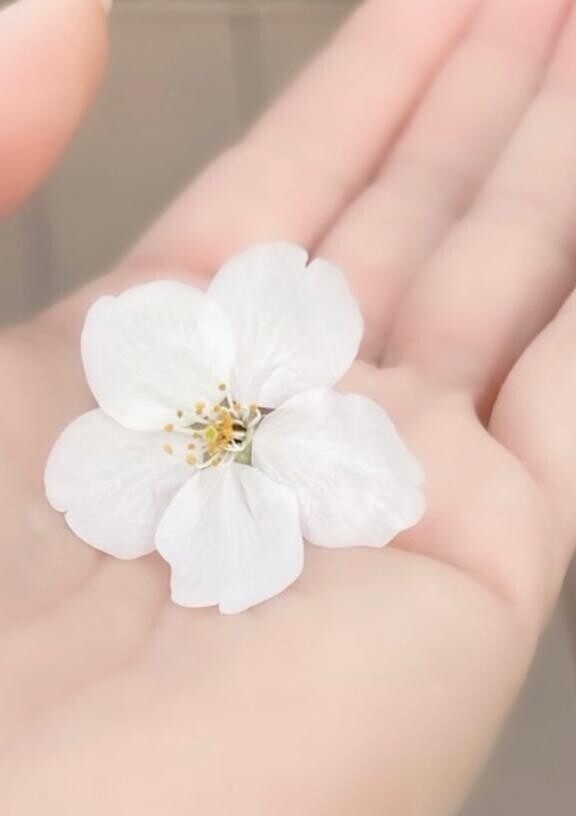春うらら待ち遠しい
