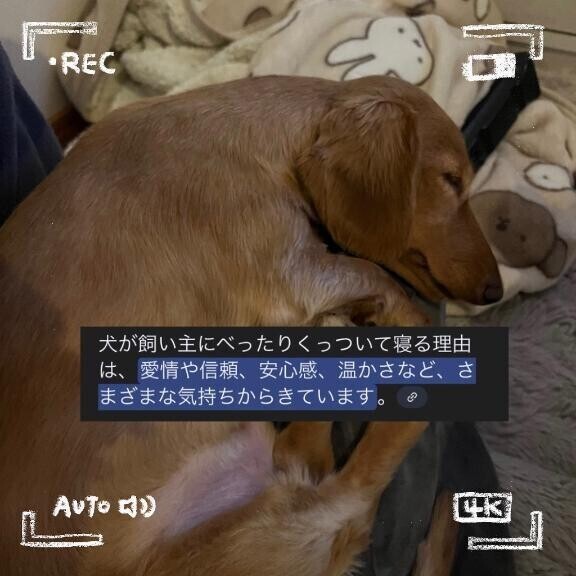 ?