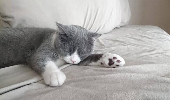 明日から