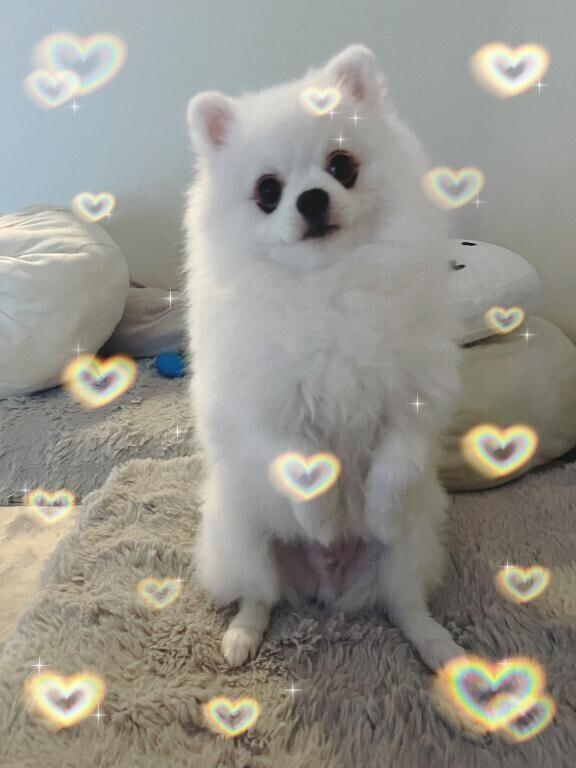 おっはよ～