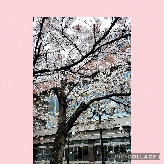お久しぶりです