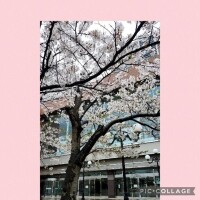 あやね