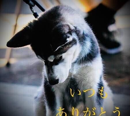 潰れた…