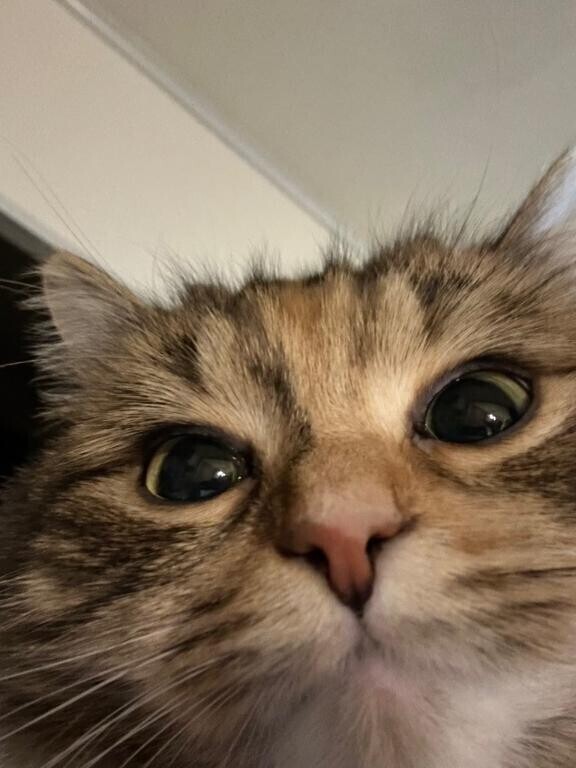 予約状況