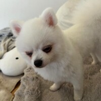 みつり