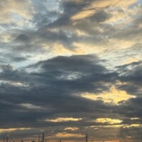 ここみ