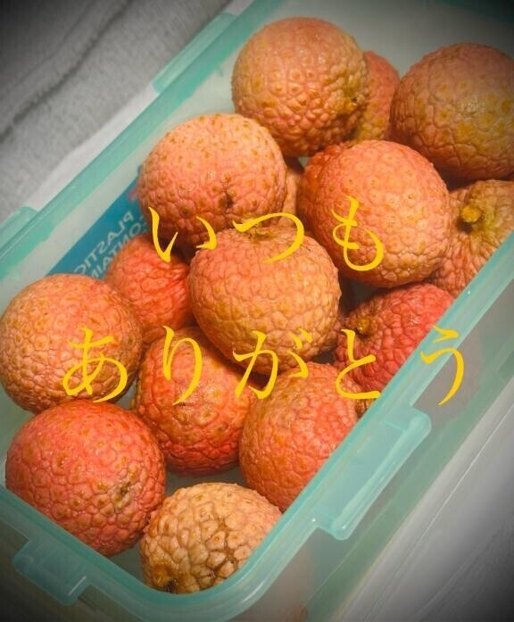 ライチ