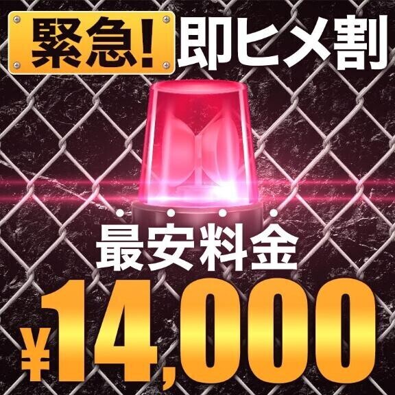 ゲリラ、きちゃった(◎-◎;)