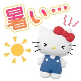 今日は