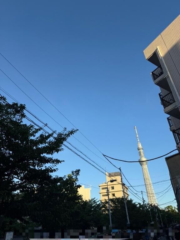 隅田川花火大会