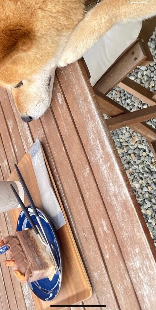 お久しぶりです