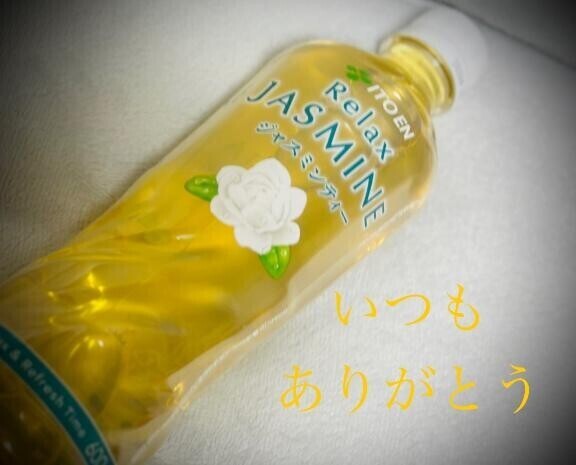 ご馳走様でした