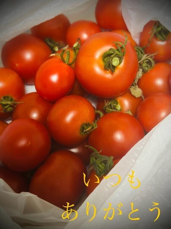 ミニトマト